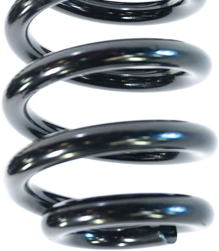 Camburg 05-24 Ford F-250/350 4WD 2.5in. Performance Coil Springs (pair) (gas) Coilover Springs Camburg
