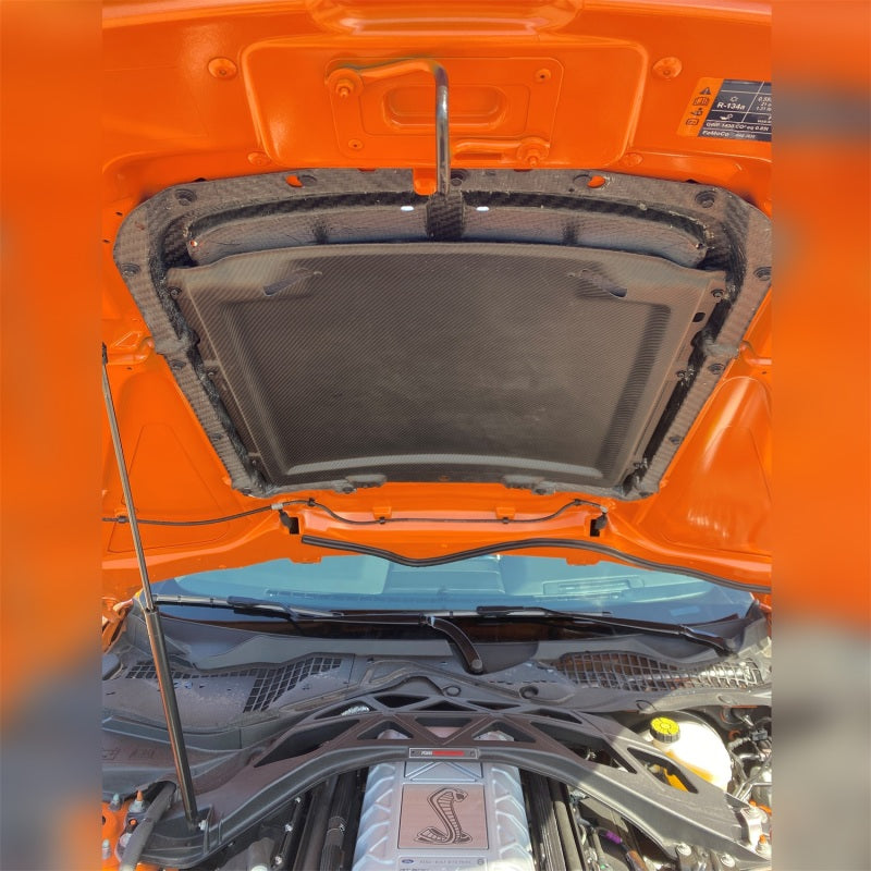 Ford Racing 20-22 Mustang GT500 Carbon Fiber Hood Vent Kit Hoods Ford Racing