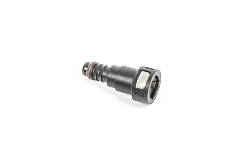 Radium Engineering 1/2in SAE Female to 1/2in Barb Fittings Radium Engineering