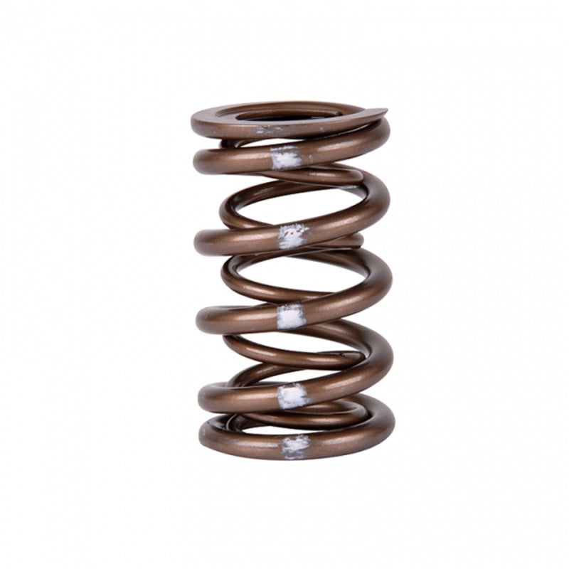 Skunk2 Pro Series Honda/Acura B-Series VTEC XP Valve Spring Set (Dual Springs) Valve Springs, Retainers Skunk2 Racing