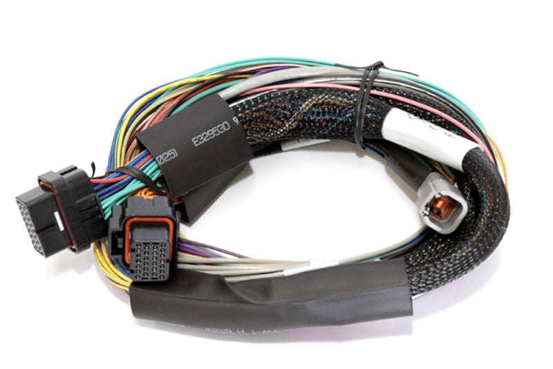 Haltech Elite 2500 8ft Basic Universal Wire-In Harness (Excl Relays or Fuses) Wiring Harnesses Haltech