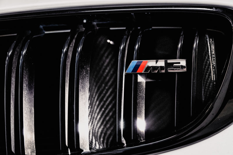AMS Performance 15-18 BMW M3 / 15-20 BMW M4 w/ S55 3.0L Turbo Engine Carbon Fiber Intake Short Ram Air Intakes AMS