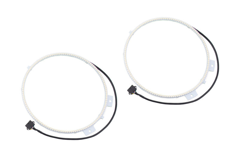 Diode Dynamics 18-21 Jeep JL Wrangler/Gladiator RGBW HD LED Halos Bulbs Diode Dynamics
