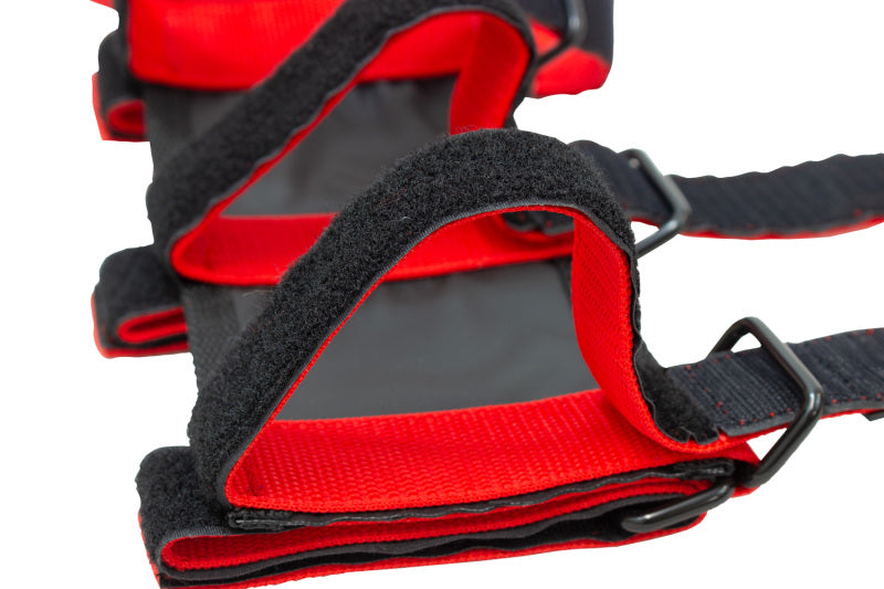 Fishbone Offroad Padded Roll Bar Red Fire Extinguisher Holder Fire Safety Fishbone Offroad