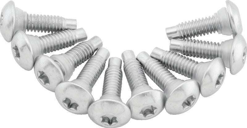 Twin Power 01-17 Softail Models 02-07 FLH FLHT Fuel Pump Plate Screw Kit Replaces H-D 1311D Fuel Pumps TwinPower