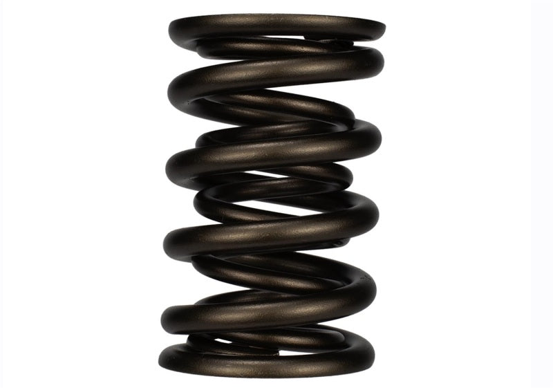 Ford Racing Replacement Valve Springs (TVS-1734) - Set Of 8 Valve Springs, Retainers Ford Racing