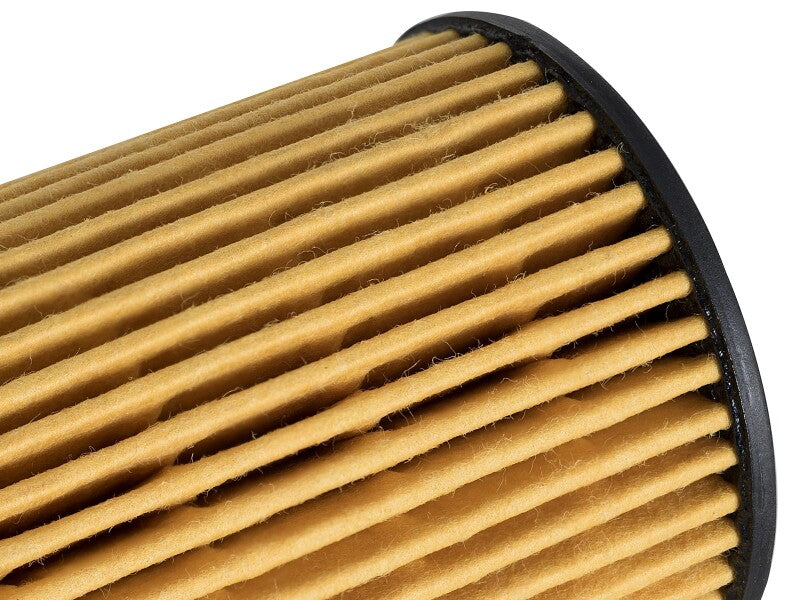 aFe PROGUARD Oil Filter- 4 Pack Oil Filters aFe