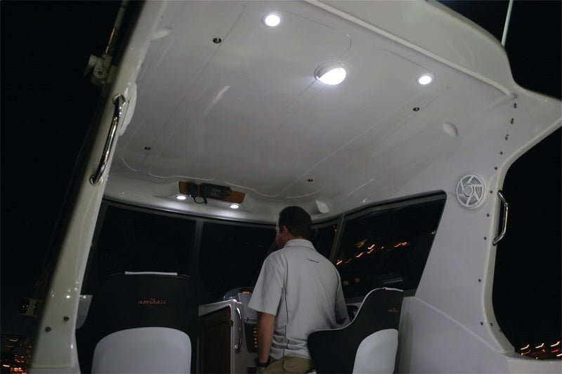 Hella COURTESY Lamp RND BLUE MD12 SS RIM 2XT Sidemarkers & Indicators Hella