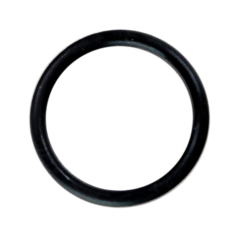 Moroso Replacement O-Ring (Replacement for 297006) O-Rings Moroso