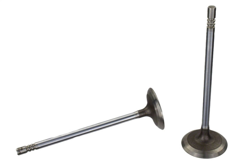 Ford Racing Coyote 5.2L Lightweight Intake Valve - Set of 8 Valves Ford Racing