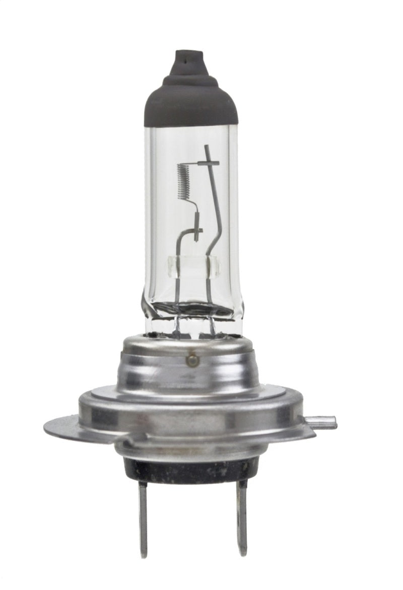 Hella High Wattage Bulb H7 12V 100W PX26d T4.6 (Pair) Bulbs Hella