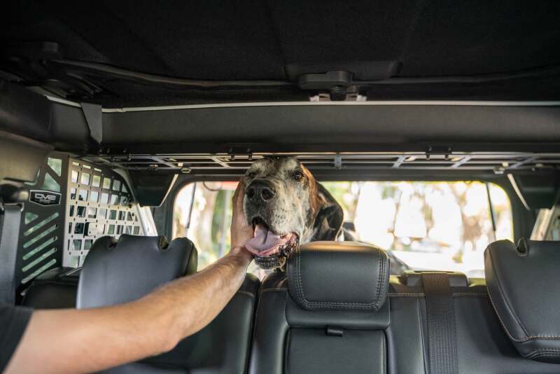 DV8 Offroad 2021-2024 Ford Bronco Dog Barrier Exterior Trim DV8 Offroad