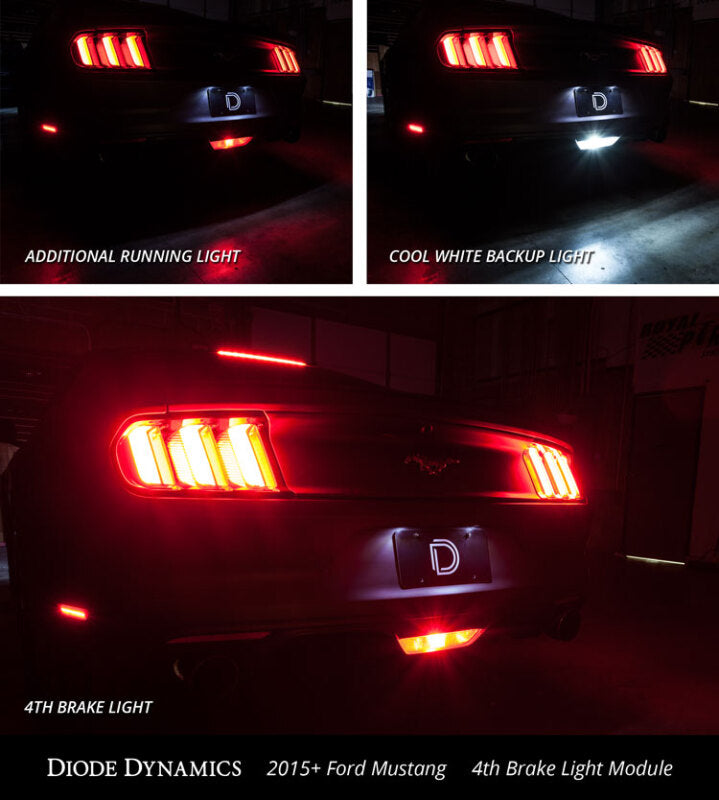 Diode Dynamics 15-21 Ford Mustang 4th Brake Light Light Accessories and Wiring Diode Dynamics