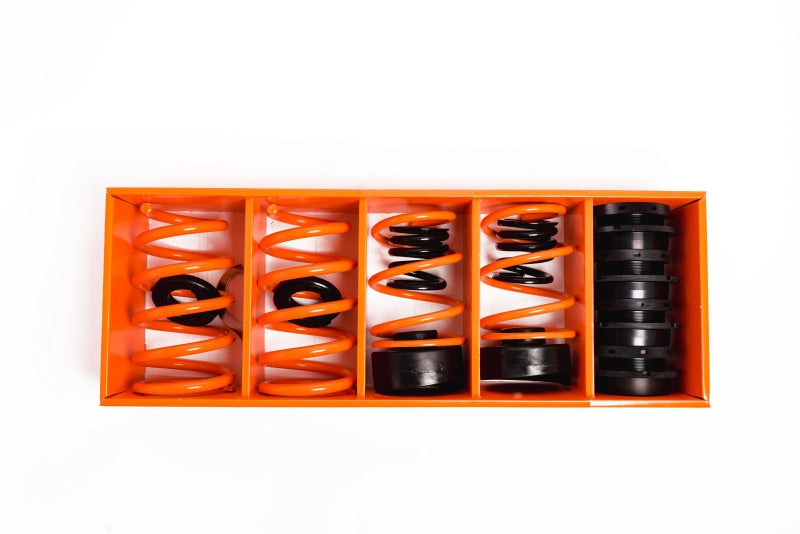 MSS 17-21 Tesla Model 3 Sports Full Adjustable Kit Suspension Packages MSS Suspension