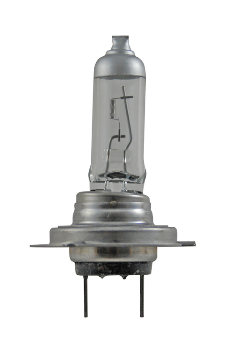 Hella Bulb H7 12V 55W Px26D T4625 +50 Bulbs Hella