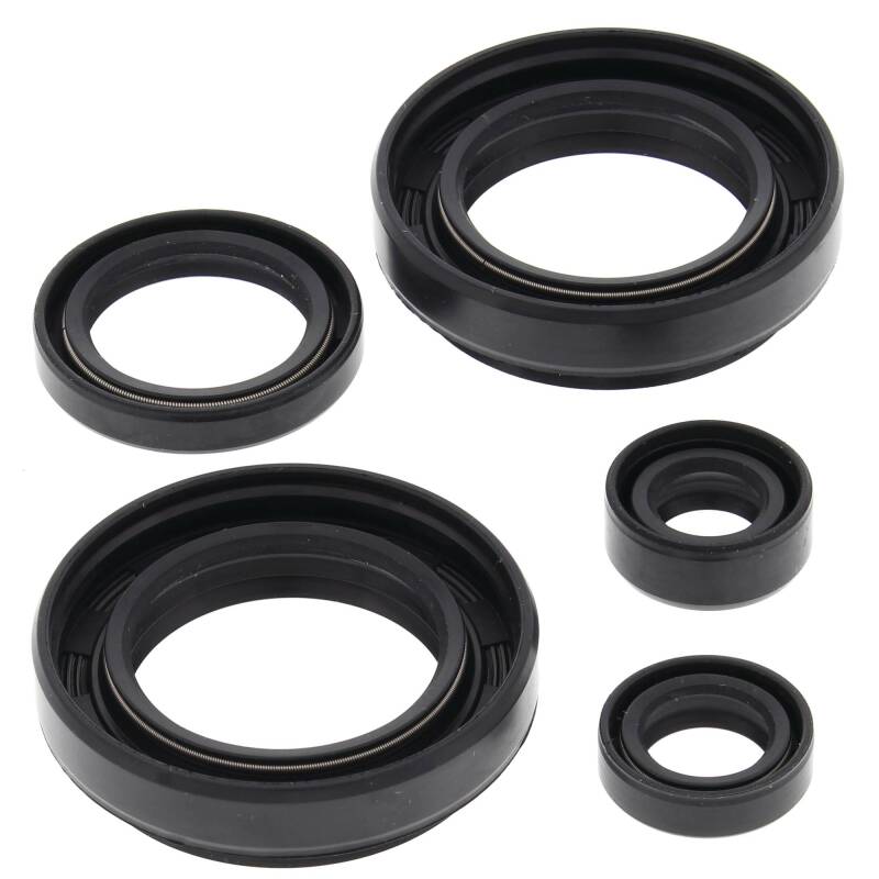 Vertex Gaskets 03-04 Arctic Cat 400 4x4 w/MT Oil Seal Kit Engine Hardware Vertex Pistons