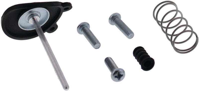 QuadBoss 91-92 Honda TRX250X FourTrax/SporTrax Accelerator Pump Kit Carburetors QuadBoss