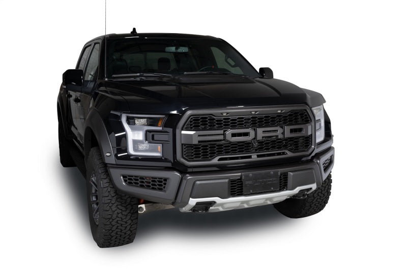 Putco 18-20 Ford F-150 Raptor - Hex Shield - Black Powder Coated Bumper Grille Inserts Grilles Putco