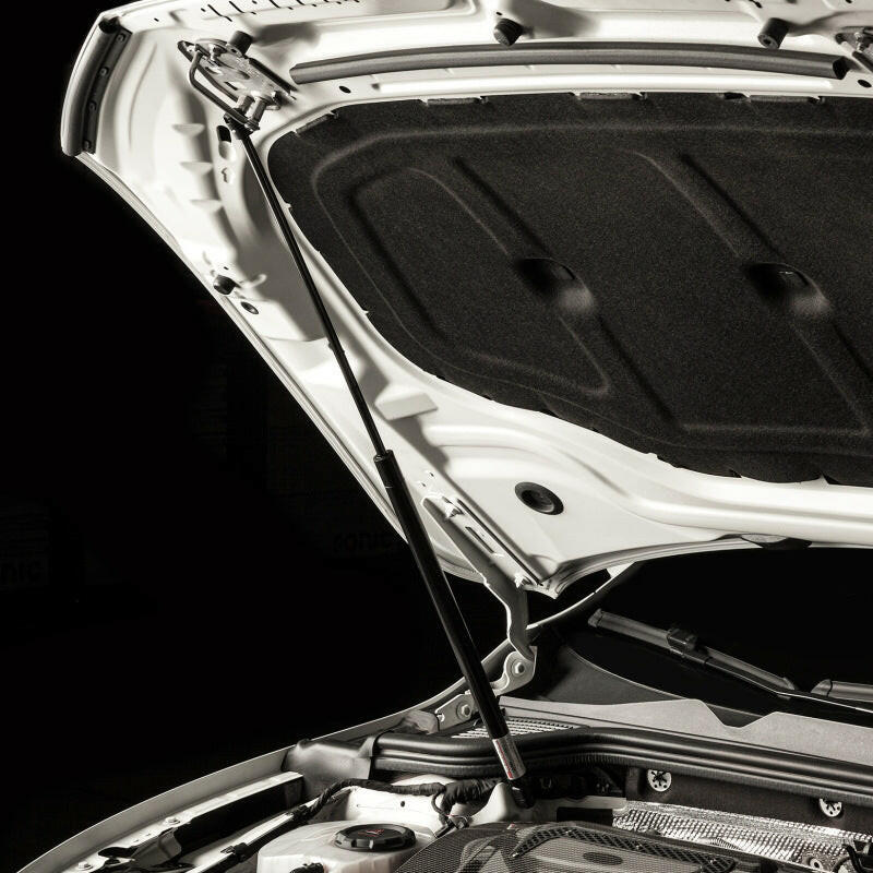 Cobb 22-23 Volkswagen Golf FTI MK8 Hood Strut Kit Hood Struts COBB