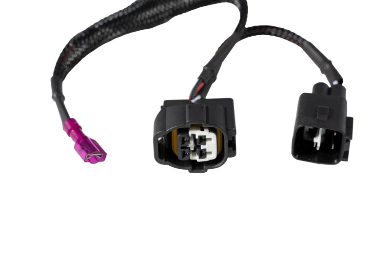 Diode Dynamics Plug-and-Play Backlight Harness for 2016-2023 Toyota Tacoma (Pair) Light Accessories and Wiring Diode Dynamics