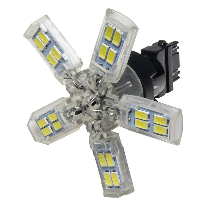 Oracle 3157 15 SMD 3 Chip Spider Bulb (Single) - Cool White Bulbs ORACLE Lighting