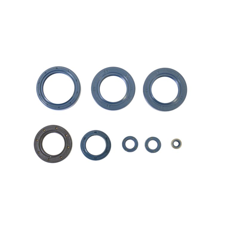 Athena 85-90 Aprilia ETX 350 Engine Oil Seal Kit Engine Gaskets Athena