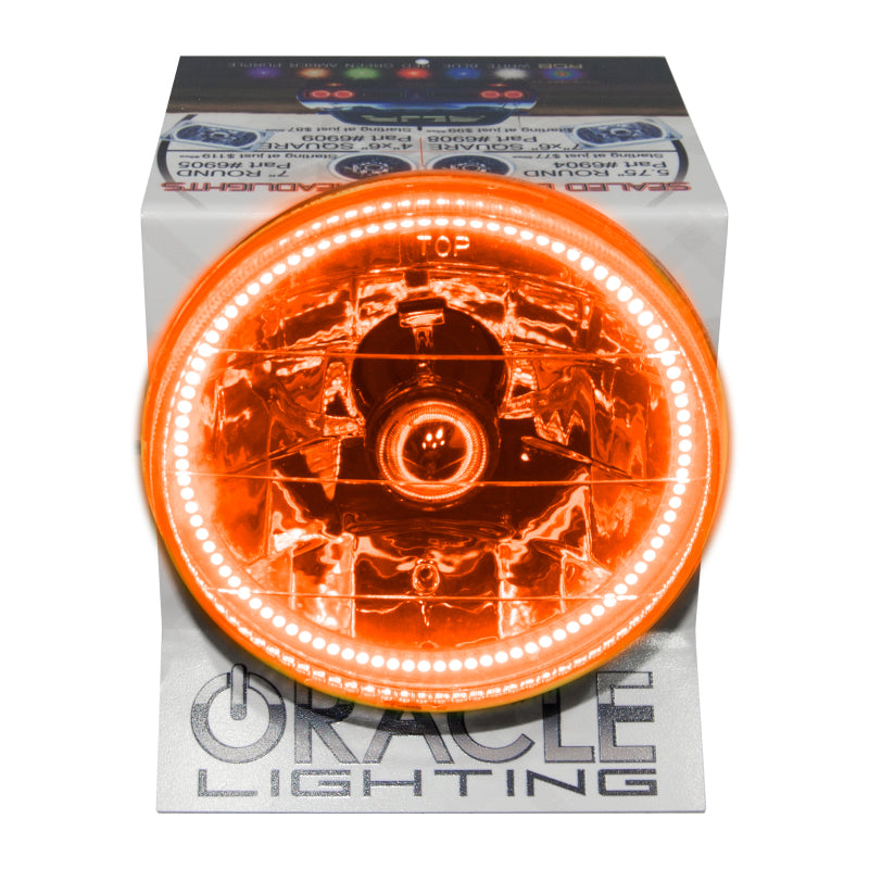 Oracle 5.75 Sealed Beam Powered Display - Amber POP Displays ORACLE Lighting