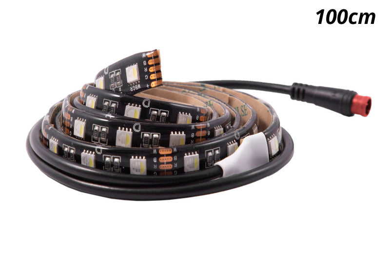 Diode Dynamics RGBW 200cm Strip SMD120 M8 Light Strip LED Diode Dynamics