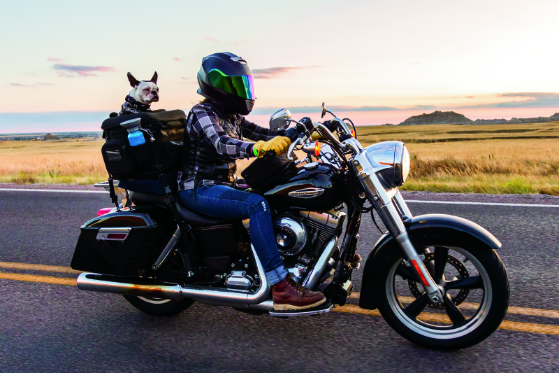 Kuryakyn Grand Pet Palace Cargo Boxes & Bags Kuryakyn