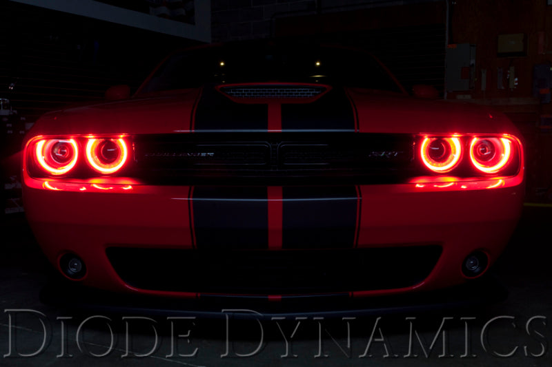 Diode Dynamics 15-21 Dodge Challenger RGBW DRL LED Boards Light Accessories and Wiring Diode Dynamics