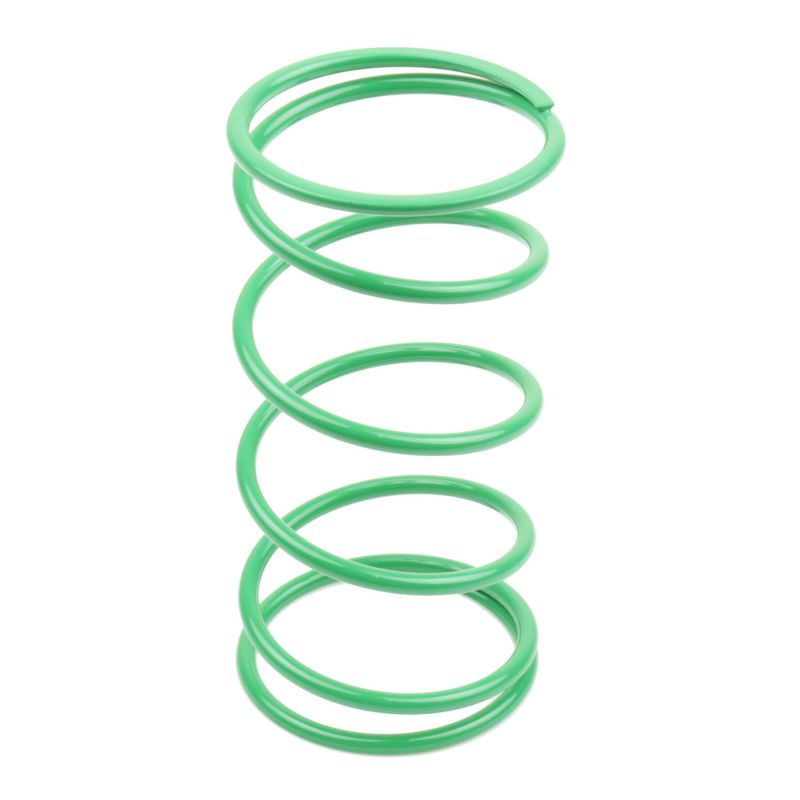 Athena BSV DIO GP 50 25Kg Green Contrast Spring (Bore 50mm) Transmission Internals Athena
