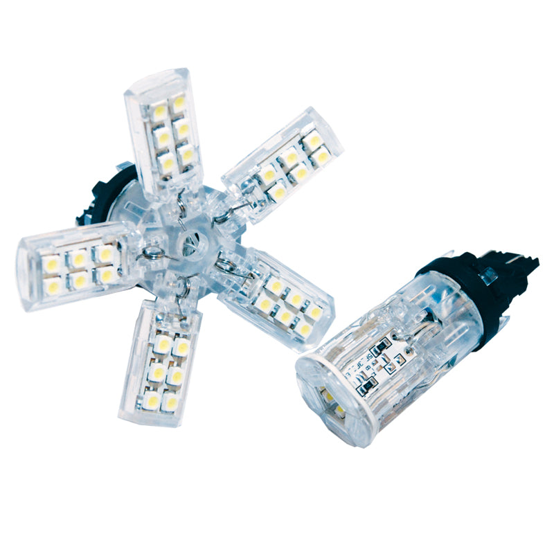 Oracle 7440 24 SMD 3 Chip Spider Bulb (Single) - Cool White Bulbs ORACLE Lighting