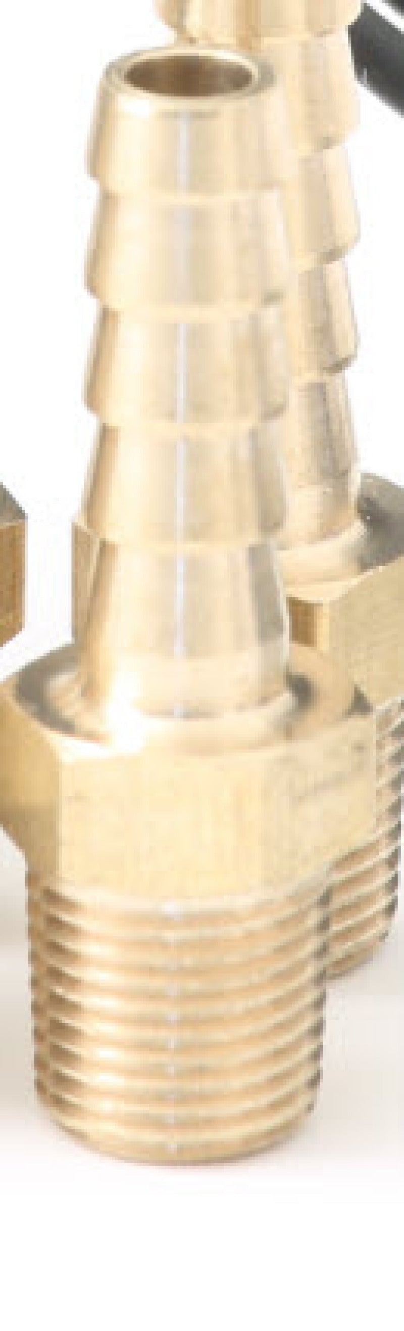 GFB 1/8in BSPT Hose Tail (each) Uncategorized Go Fast Bits