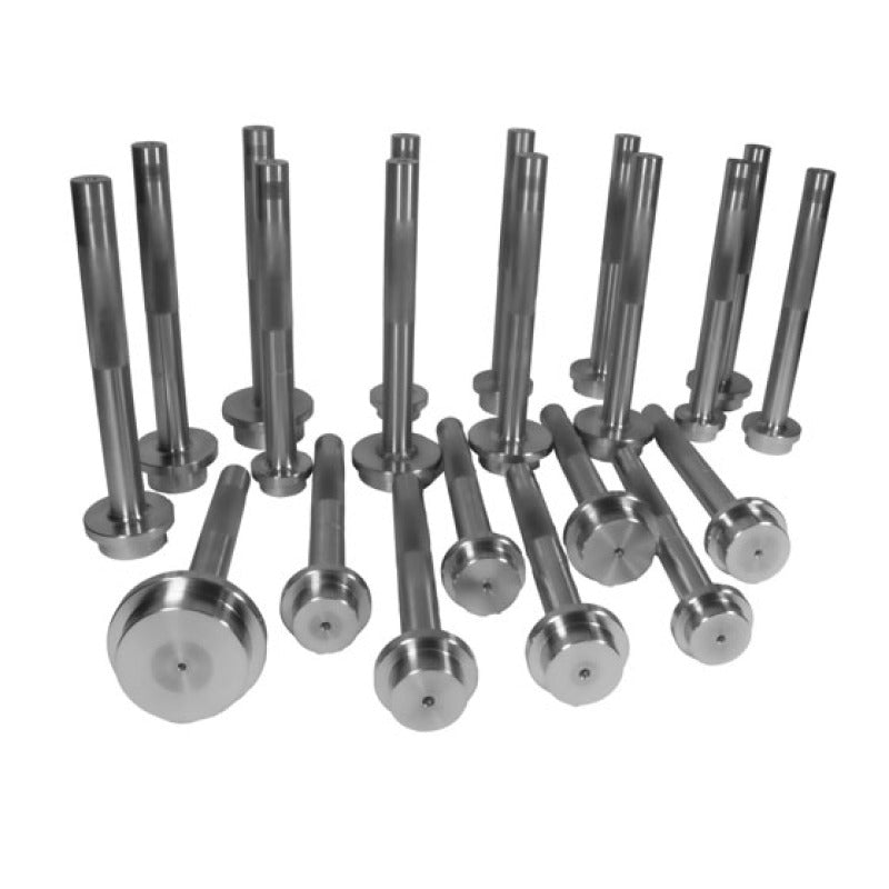 Yukon Gear Bearing Race Driver Set / 21 Piece Tools Yukon Gear & Axle