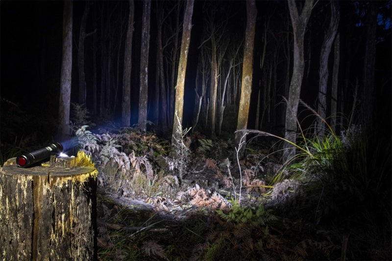 ARB Pureview 800 Flashlight 800 Lumen Flashlight Camping Equipment ARB