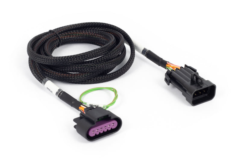 Haltech NEXUS Rebel LS Corvette Pedal Adaptor (Plug-n-Play w/HT-186500) Wiring Connectors Haltech