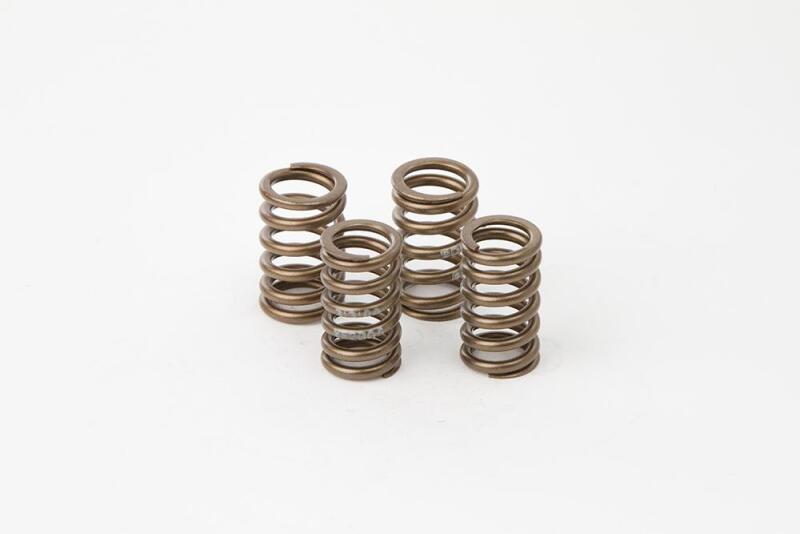 Hot Cams Valve Spring Kit, Boxed, ea, 1 Valves Hot Cams