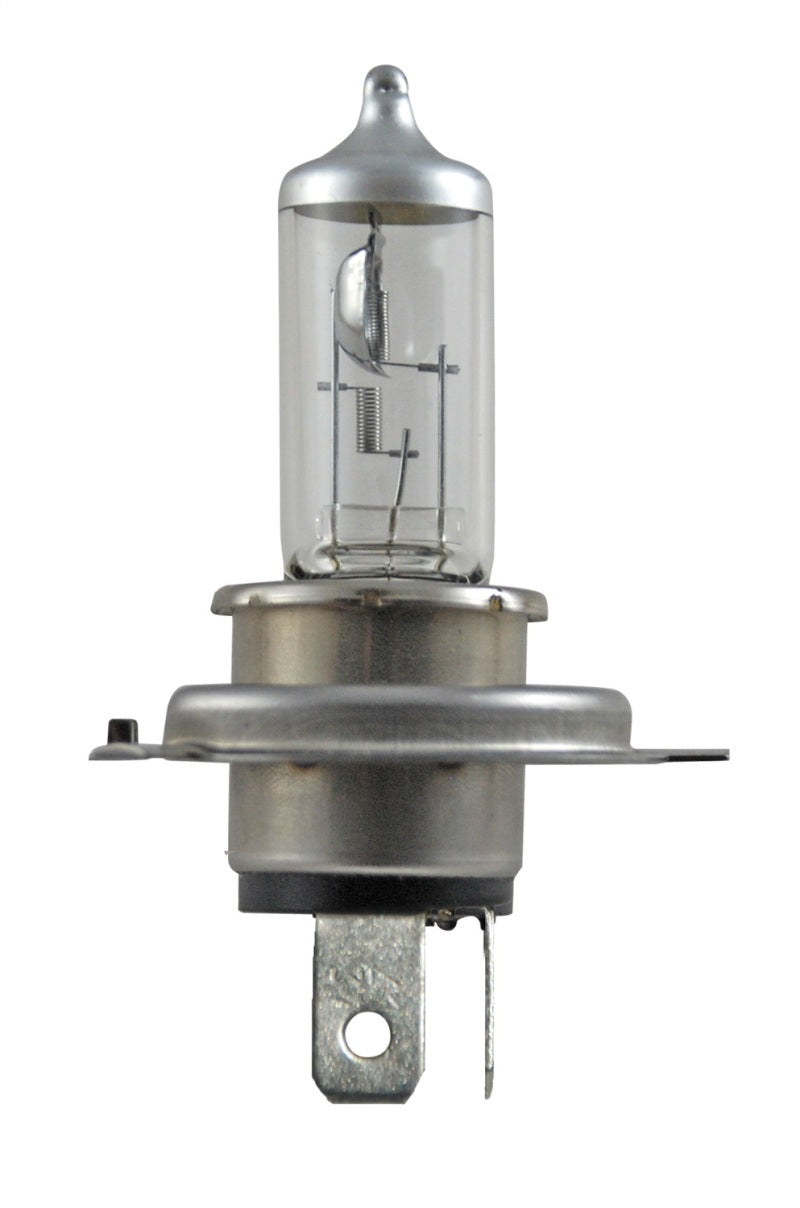 Hella Bulb H4 12V 60/55W P43t T4.625 +50 Bulbs Hella