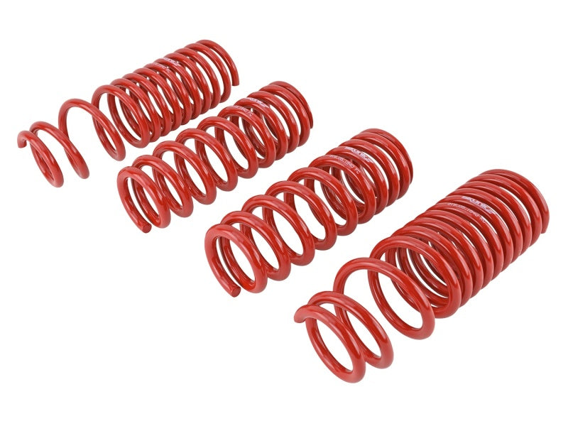 Skunk2 90-93 Acura Integra Lowering Springs (2.50in - 2.25in.) (Set of 4) Lowering Springs Skunk2 Racing