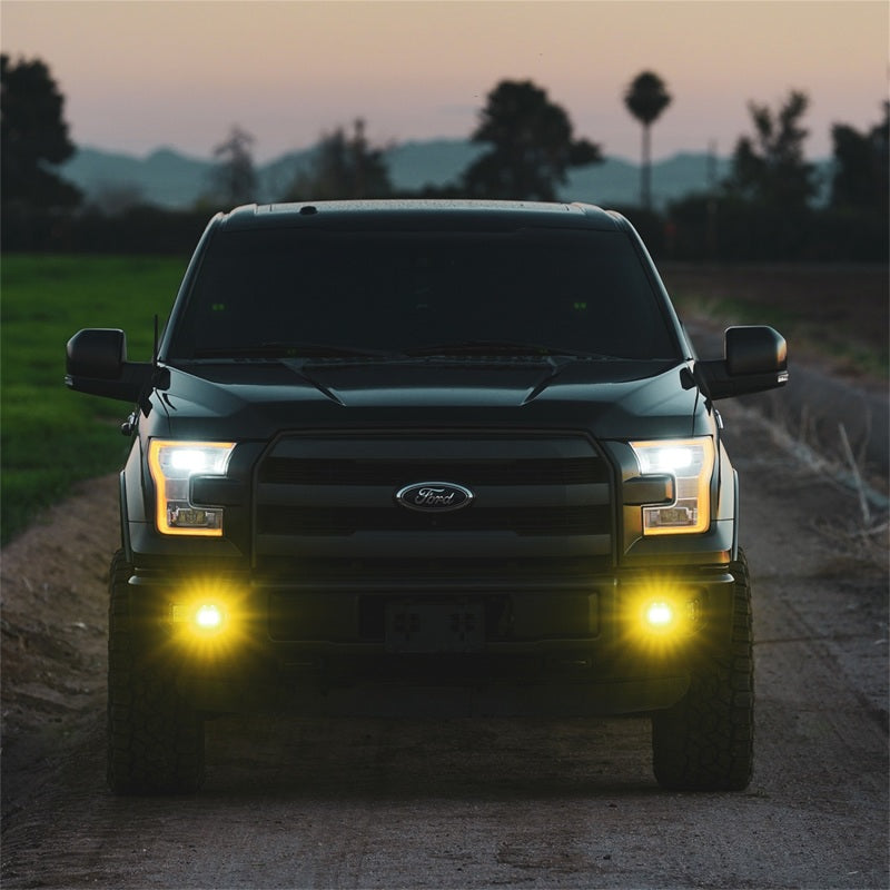 Rigid Industries D-Series SAE Fog Yellow/White Pair Light Bars & Cubes Rigid Industries