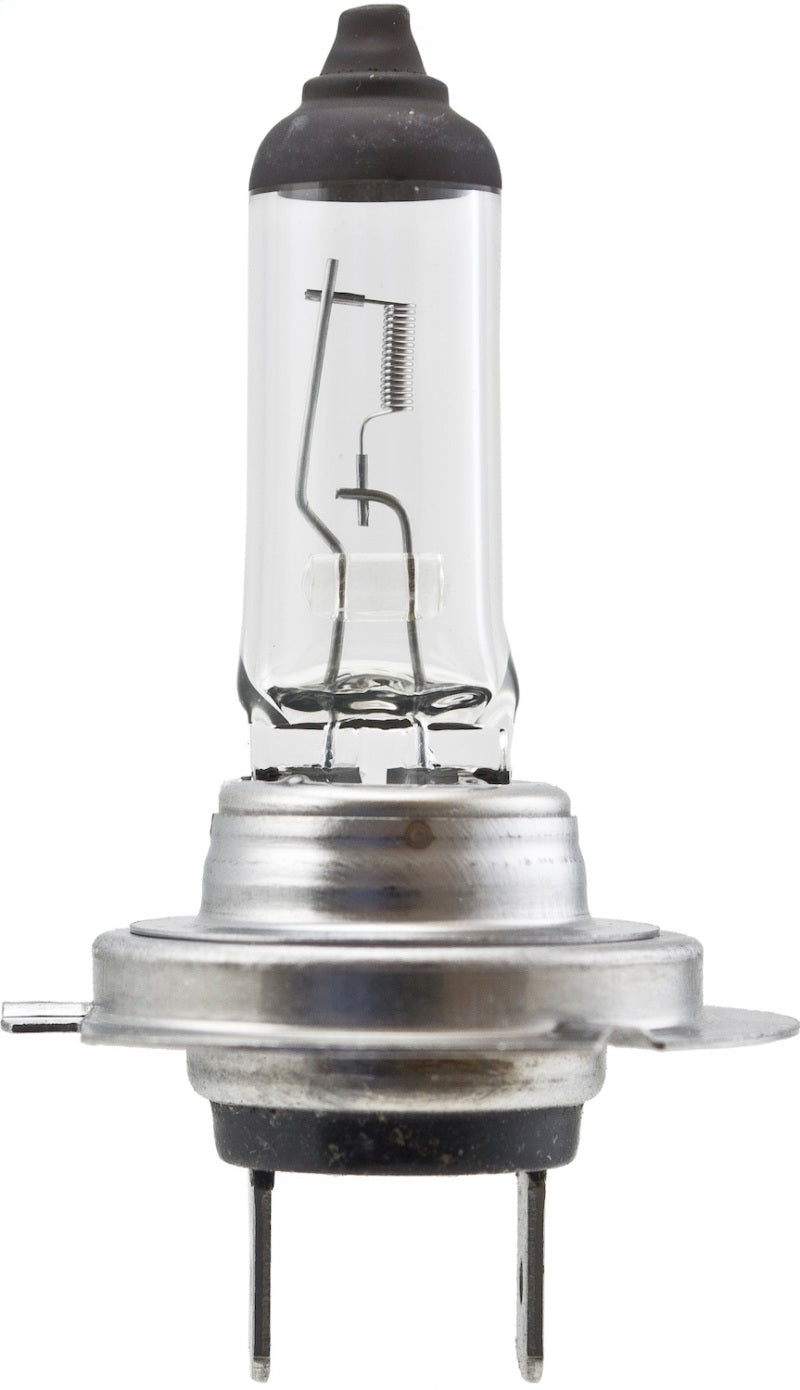 Hella High Wattage Bulb H7 12V 100W PX26d T4.6 Bulbs Hella