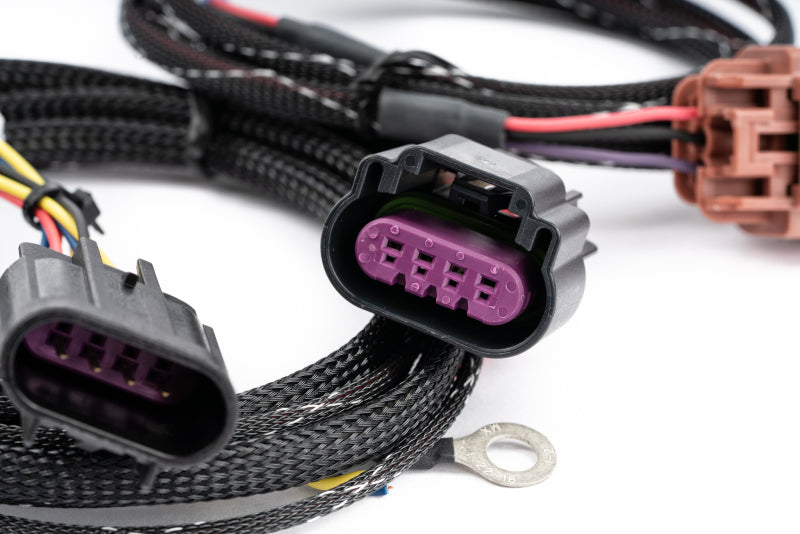 AMS Performance Universal Flex Fuel CAN Bus Box Flex Fuel Kit AMS