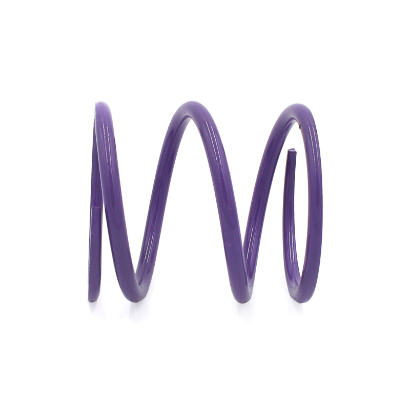 EPI 24+ Polaris RZR XP 1000/ Xpedition XP/ADV Primary Clutch Spring Purple Clutch Rebuild Kits EPI