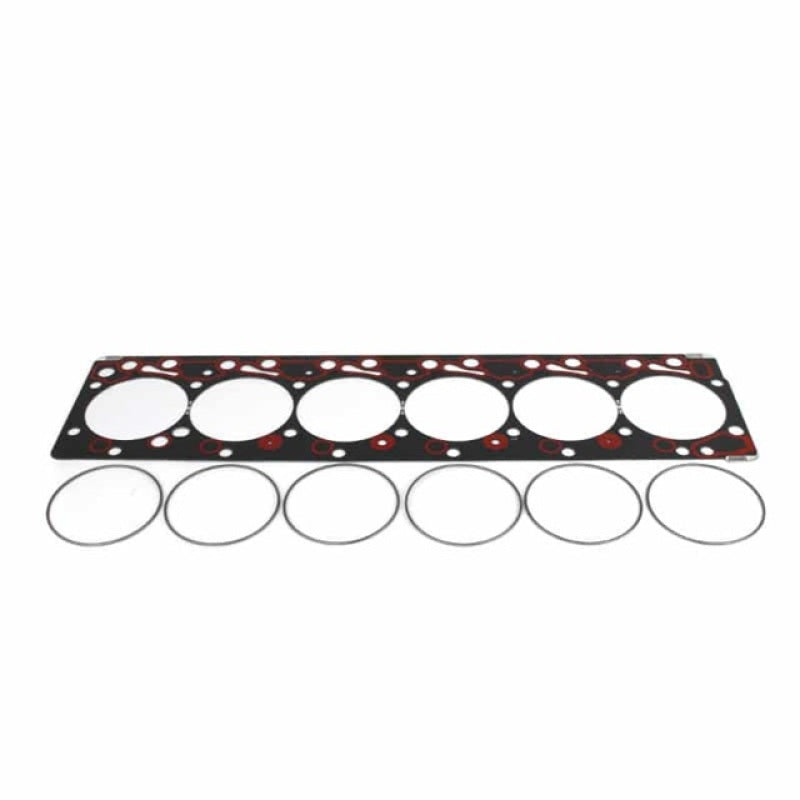 Industrial Injection 98.5-02 5.9L 24 Valve Fire Ring Head Gasket Kit Spec 4.550 Head Gaskets Industrial Injection