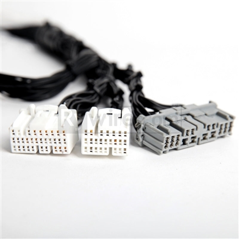 Rywire Honda K-Series Tucked Budget Engine Harness w/OBD2 02-04 RSX K20 Sensor/Firewall VSS Wiring Harnesses Rywire