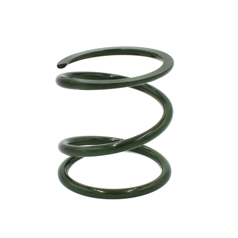 EPI 24+ Polaris RZR XP 1000/ Xpedition XP/ADV Primary Clutch Spring Dark Green Clutch Rebuild Kits EPI