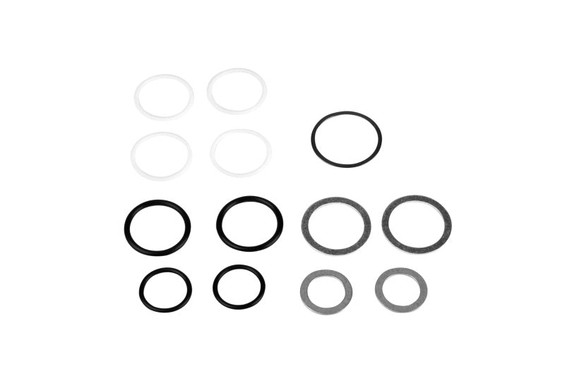 Aeromotive Rebuild Kit - Fuel Log (14201/14202) Fuel Manifolds Aeromotive