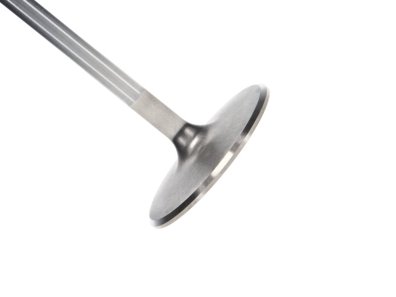 Manley Chevrolet Big Block Intake Valve Kit - 2.300in Head Dia. 5.244in O/A Length, 0.3110in Stem Valves Manley Performance