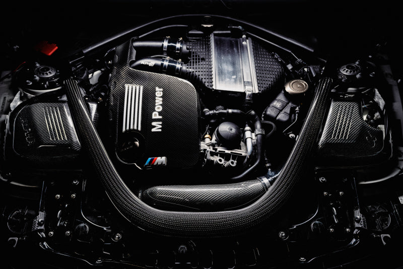 AMS Performance 15-18 BMW M3 / 15-20 BMW M4 w/ S55 3.0L Turbo Engine Carbon Fiber Intake Short Ram Air Intakes AMS