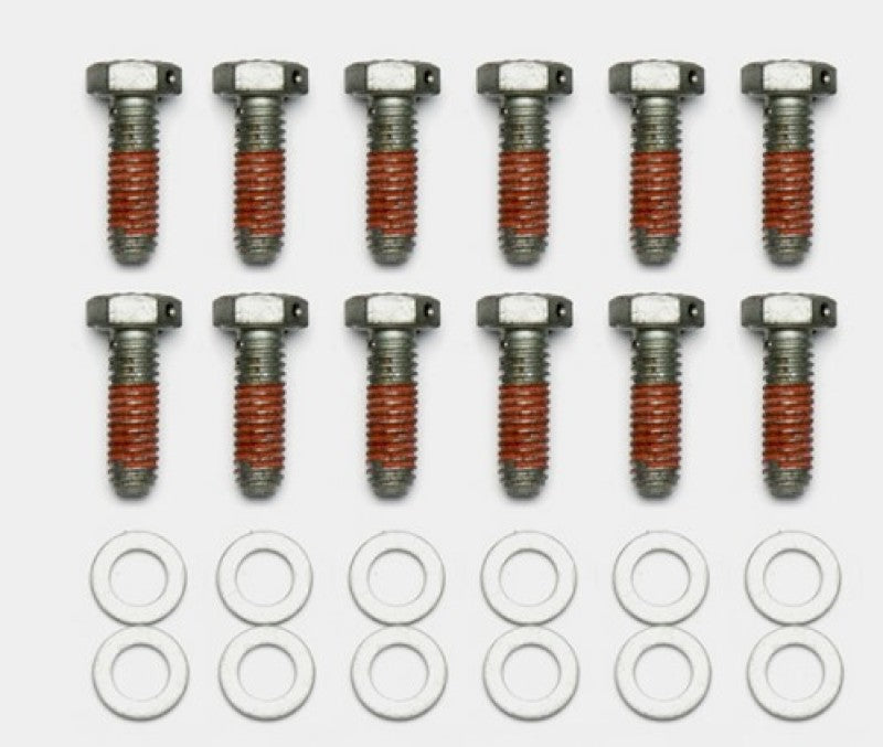 Wilwood Bolt Kit - 5/16-18 x 1.00 LG - 12 pk Brake Hardware Wilwood